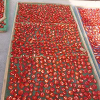 طبق انگور وگوجه