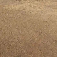 زمین ملاباشی باغلاراوستی