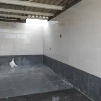 کاشی کاری و خورده کاری ها