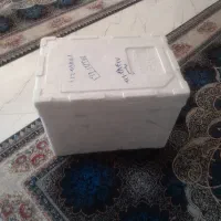 یخچال  فیبری ۶۰لیتری
