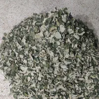 سدر(برگ کنار)