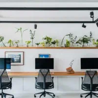 کال سنتر مسئول سفارش نیروی کار جوان