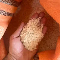 برنج هاشمی درجه ۱