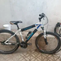 دوچرخه ویوا