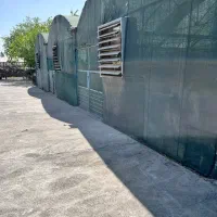 کارگر ماهر دامداری