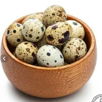 تخم تازه بلدرچین ( خانگی )