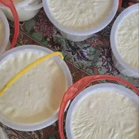 ماست محلی .کره گاوی