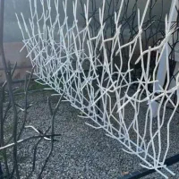 حفاظ کاران راد