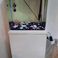 آکواریوم aqua سامپ دار شیشه خم