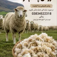 فروش پشم