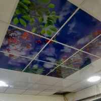 دکوراسیون داخلی