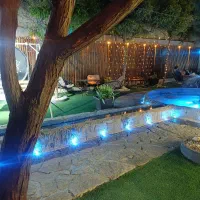 نیروی ساده