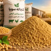 نهاده‌های دامی سویا ذرت جو و سایذ