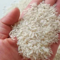 برنج دانه بلند هاشمی