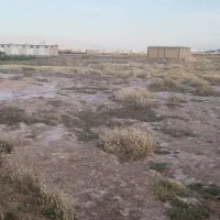 زمین کرونی تعویض باماشین