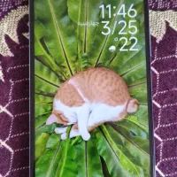 POCO x4 GT|موبایل|کاشان, درب اصفهان|دیوار