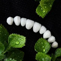 آموزش تخصصی دندانسازی