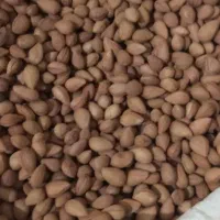 الوک تلخ و شیرین