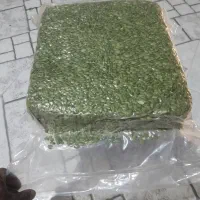 مغز تخمه کدو