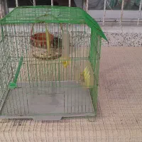 قفس پرنده در حد نو