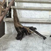چوب دکور اکواریوم
