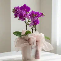گلفروش اینترنتی