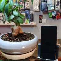 X7poro|موبایل|شیراز, بالا کفت|دیوار