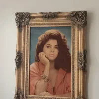 تابلو دست بافت ابریشم مرینوس