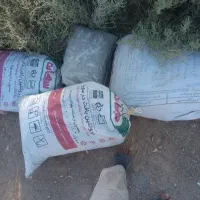 کود چلغوز کفتر درجه یک
