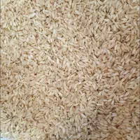 عنبربوی سبزبهارپارسه برنج خوشمزه و پرخاصیت خوزستان