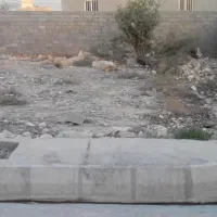 زمین-مسکونی-جیرفت
