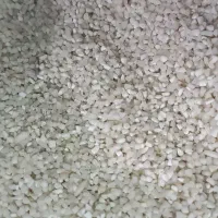 نیم دانه برنج درجه یک یک