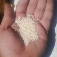 برنج ایرانی هاشمی کشت دوم درجه یک