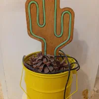 چراغ خواب مدل کاکتوس