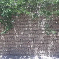زمین-نقلی-شمالی-شرقی