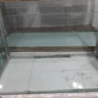اکواریوم