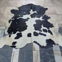 پوست گاوی ، پوست گاو دباغی شده