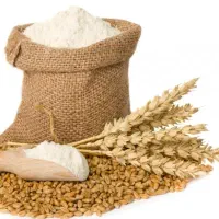 ارد|خوردنی و آشامیدنی|گنبد کاووس, |دیوار