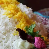 فروش عمده ۷۰۰ کیلو برنج هاشمی با کیفیت