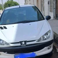 ۲۰۶ تیپ۲ در حد خشک