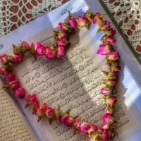 سرکتاب
