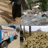 کارگر هستیم