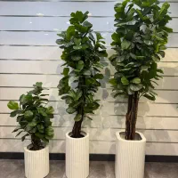 درختچه مصنوعی خاص بونسای،بنجامین،بامبو،زیتون