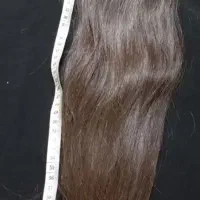 کات مو