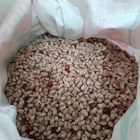 خوار و بار