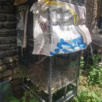 قفس ضخیم