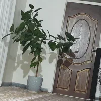 سلام فروش گل