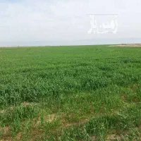 فروش-زمین-ویلایی-1000-متری