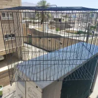 قفس پرنده
