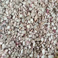 لوبیا *شکسته* چیتی *ایرانی* نصفه مناسب آش شله